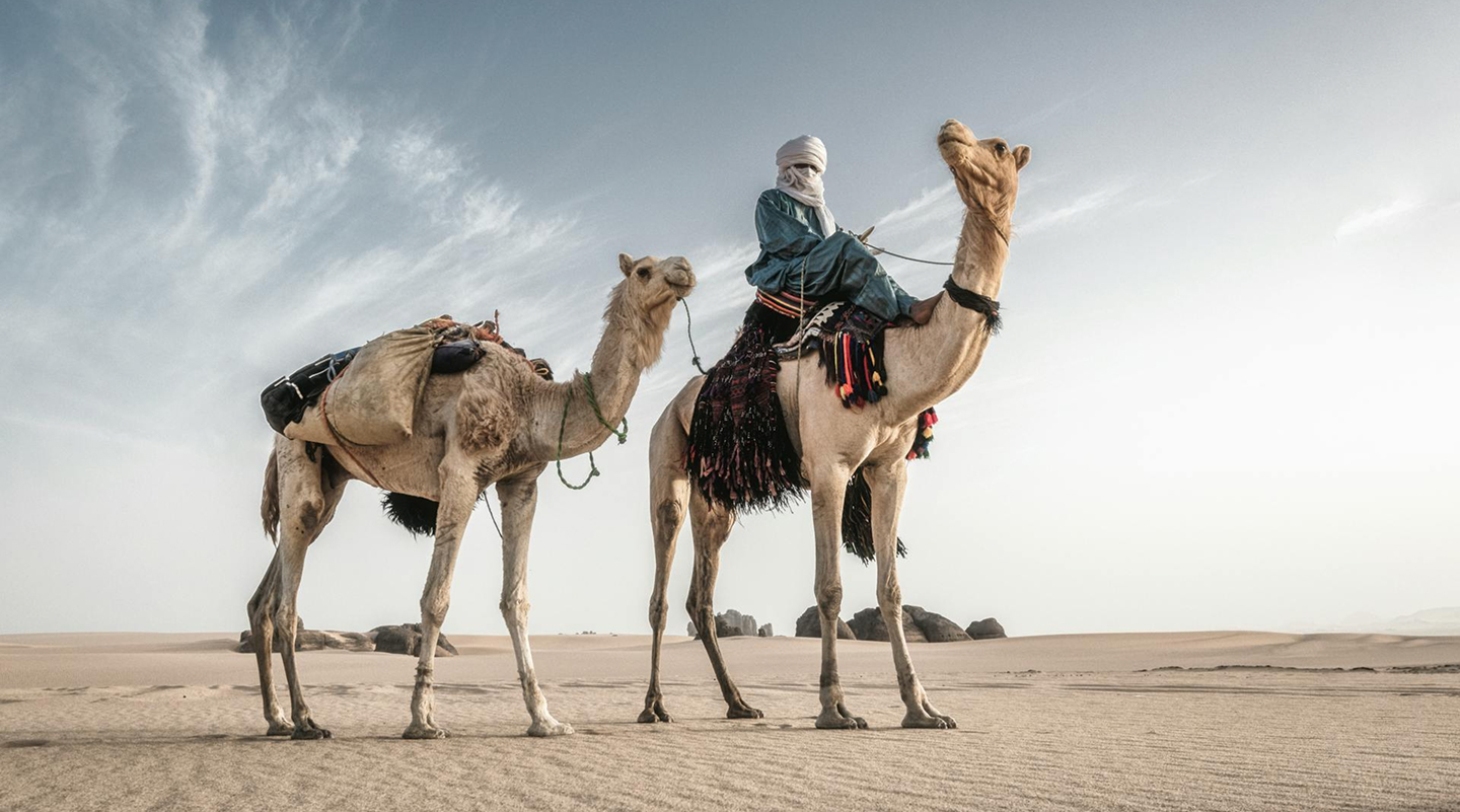 Tuareg nomad with camels in the desert - the inspiration behind tuaregs.ai company name